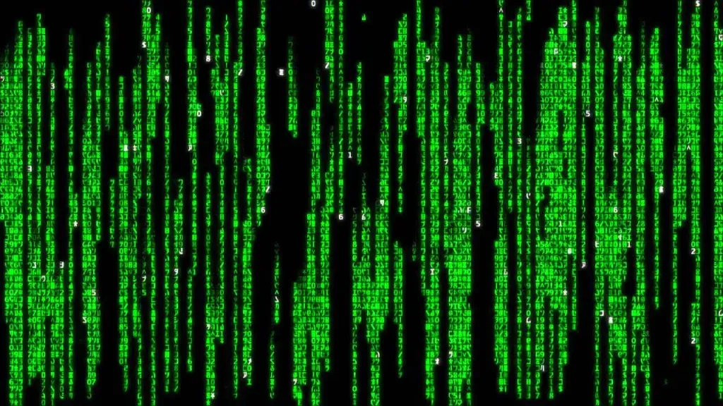 Automatización con Python: Cómo recuperar 40 horas operativas al mes en tu empresa